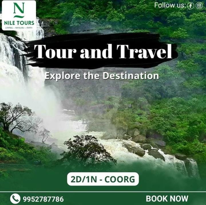 NILE TRAVEL AND TOURS visual data 3